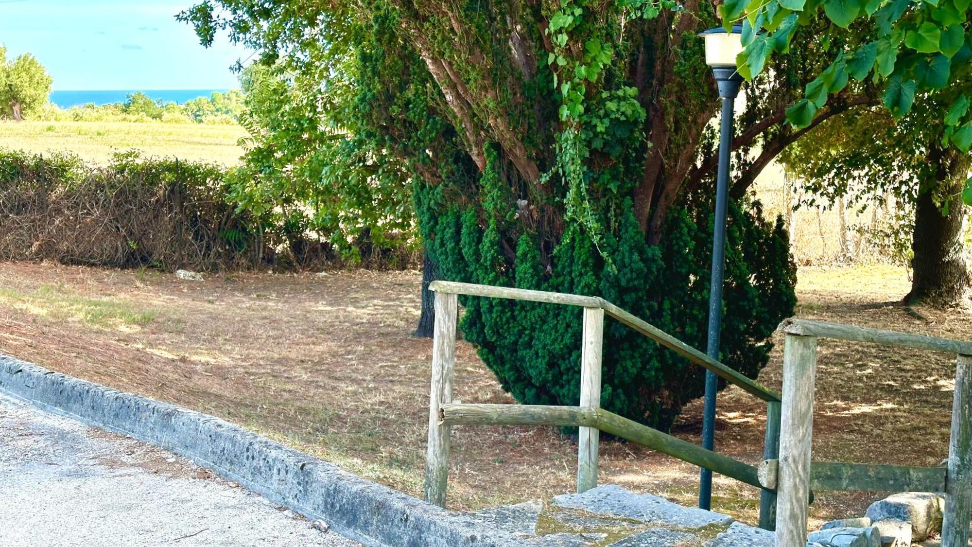 Appartamento S214 - Sirolo, trilocale con giardino in zona tranquilla Esterno foto